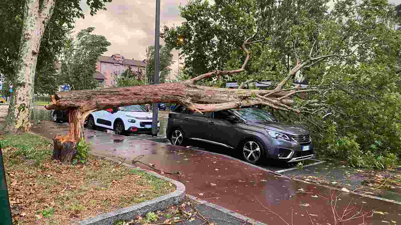 Automobile distrutta da un albero