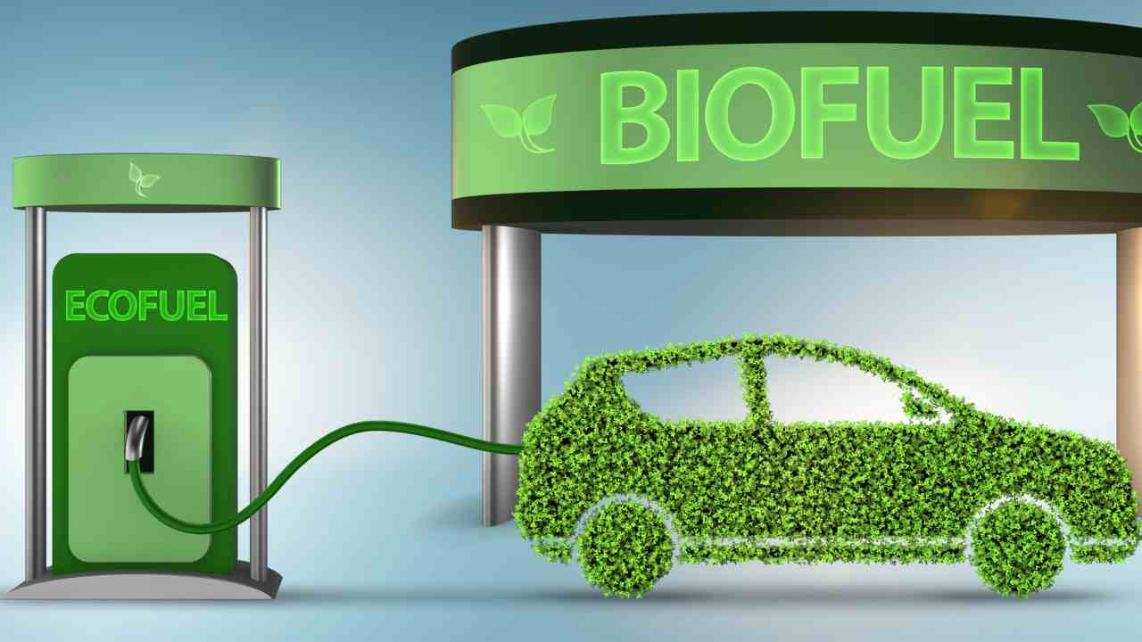 Il biocarburante arriva anche in Italia - fonte depositphotos.com - giornalemotori.it