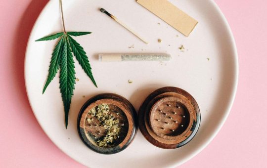 Cannabis terapeutica - fonte Pexels - giornalemotori.it